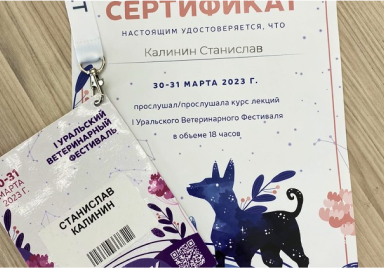 Мы посетили Первый Уральский Ветеринарный фестиваль